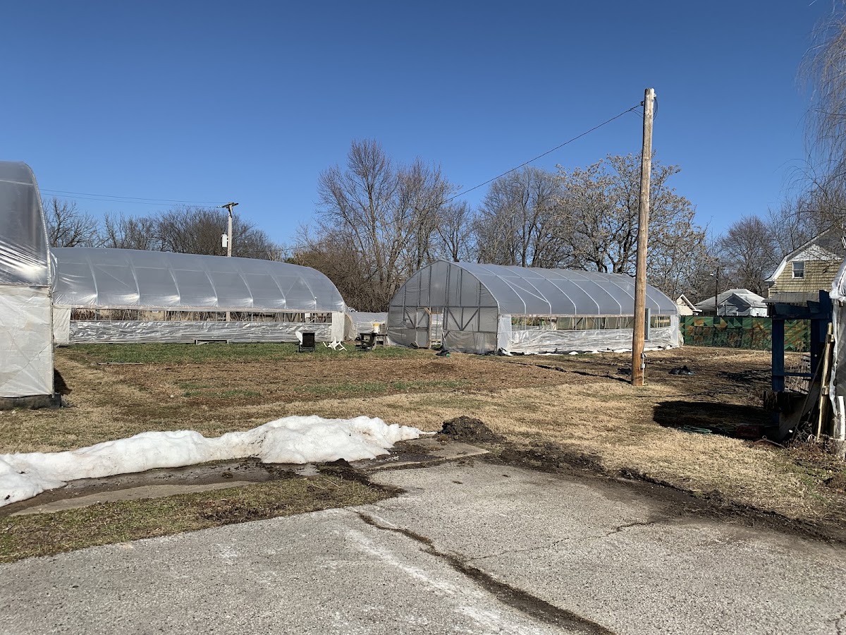 Urban Roots Farm apple orchard in Springfield, Missouri