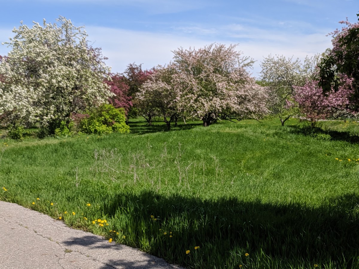 Eagle Run Orchard apple orchard in West Fargo, North Dakota
