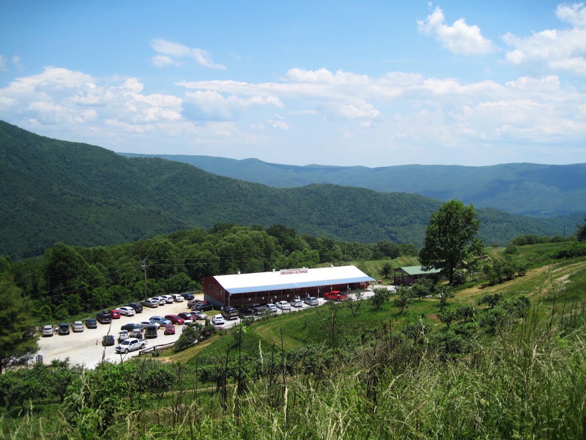 The Historic Orchard at Altapass apple orchard in Spruce Pine, North Carolina