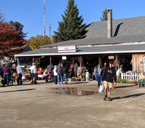 Thompson's Orchard apple orchard in New Gloucester, Maine