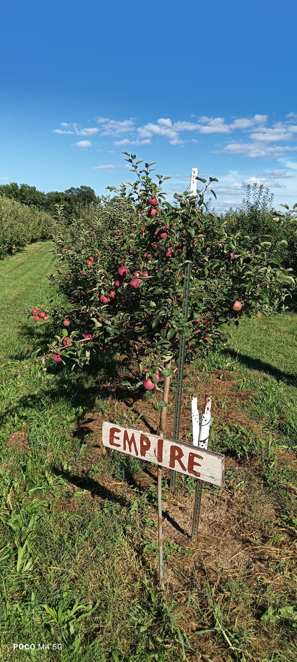 Green Gardens apple orchard in Battle Creek, Michigan