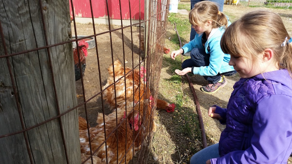 Garden Patch Farms & Orchard apple orchard in Homer Glen, Illinois