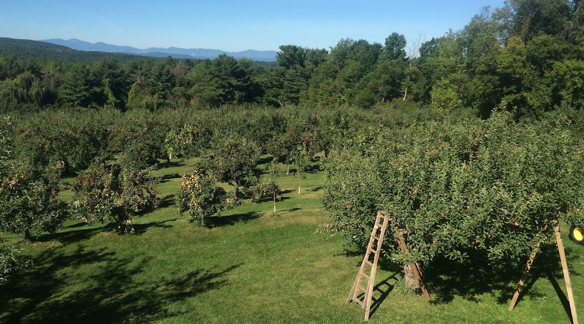 Yates Family Orchard apple orchard in Hinesburg, Vermont