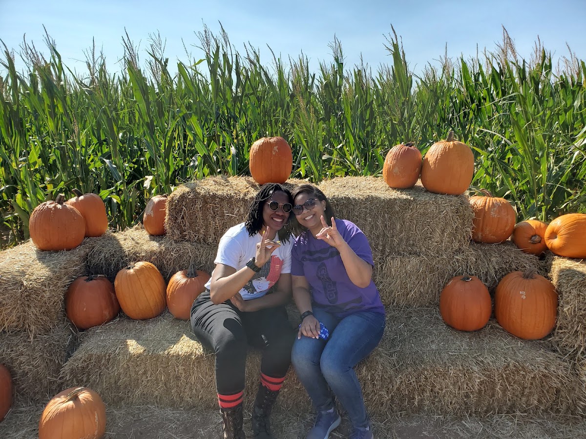 Westside Orchard apple orchard in Charlie, Texas
