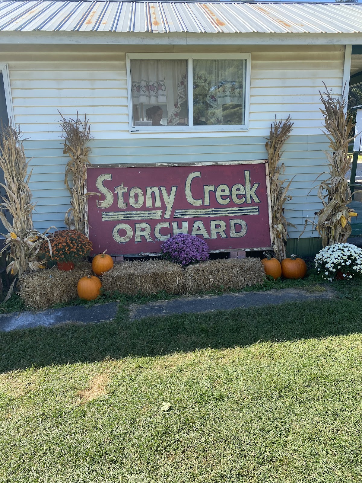Stony Creek Orchard and Cider Mill apple orchard in Romeo, Michigan
