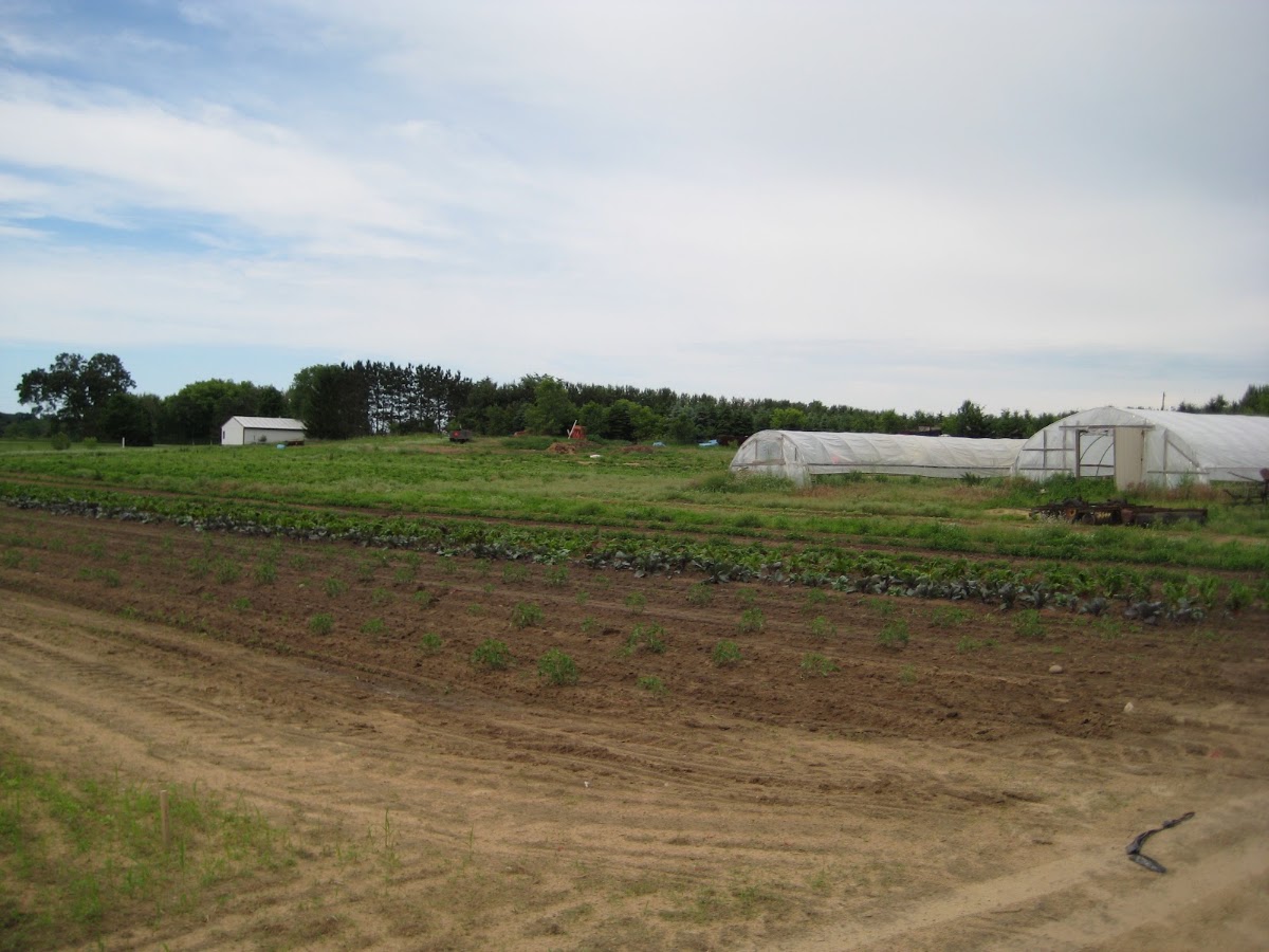 Titus Farms apple orchard in Leslie, Michigan