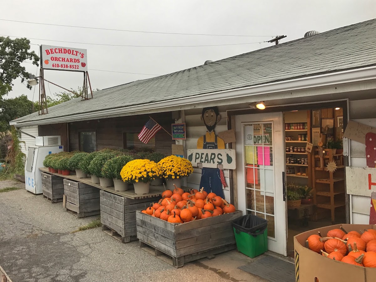 Bechdolt's Orchard apple orchard in Hellertown, Pennsylvania
