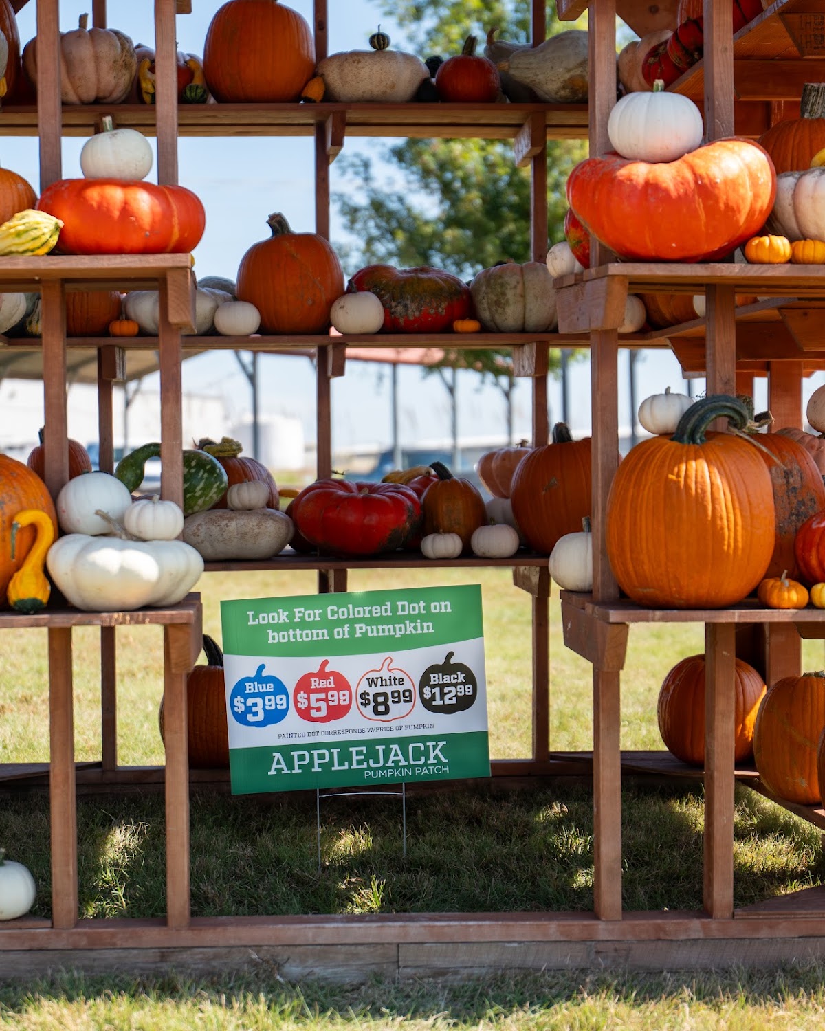 Applejack Pumpkin Patch & Event Barn apple orchard in Augusta, Kansas