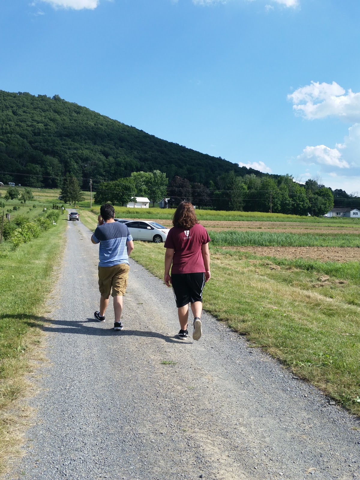 Village Acres Farm & FoodShed apple orchard in Mifflintown, Pennsylvania
