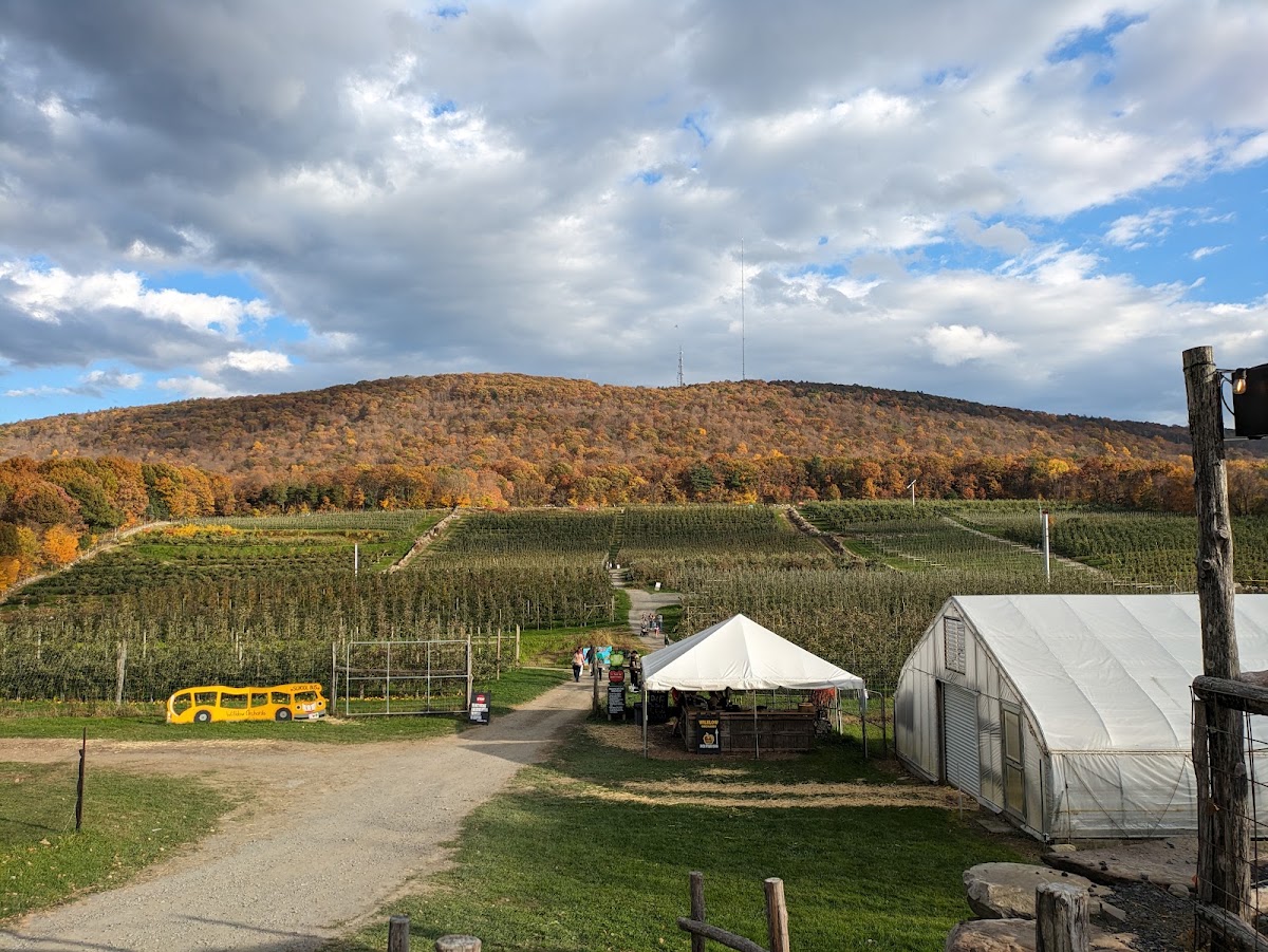Healthway Farms apple orchard in Highland, New York