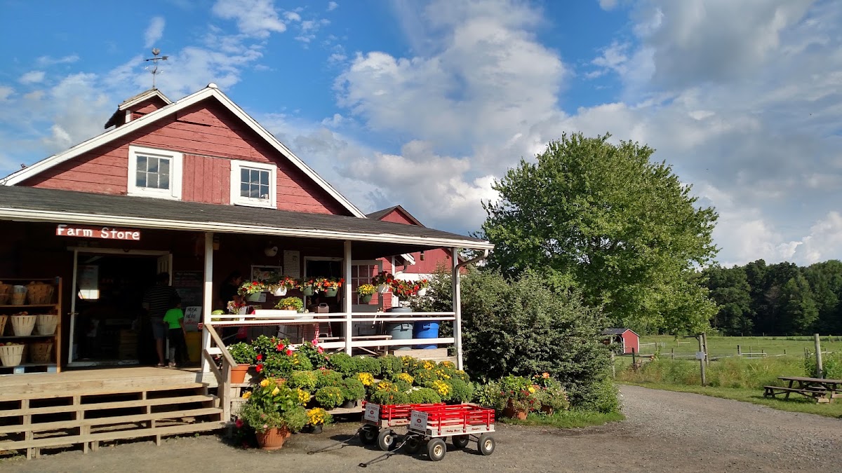 Terhune Orchards apple orchard in Princeton, New Jersey