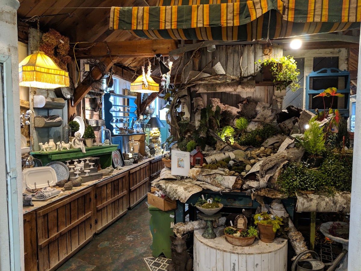 Brookdale Fruit Farm Inc apple orchard in Hollis, New Hampshire