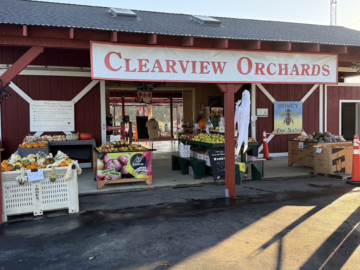 Clearview Orchards apple orchard in Watsonville, California
