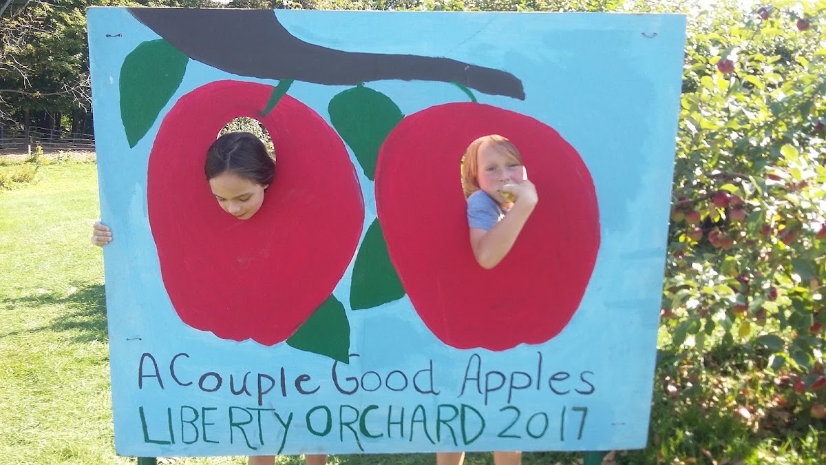 Liberty Orchard apple orchard in Brookfield, Vermont