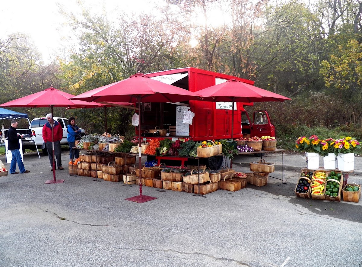 Sarver's Hill Organic Farm & CSA tm apple orchard in Greensburg, Pennsylvania
