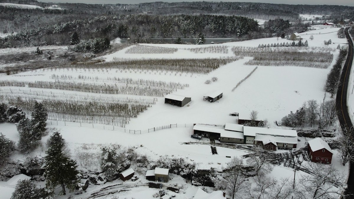 Boehm Farm apple orchard in Greene County, New York