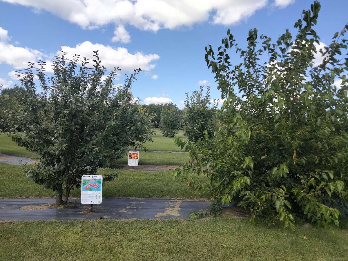 Arboretum Orchard apple orchard in West Fargo, North Dakota