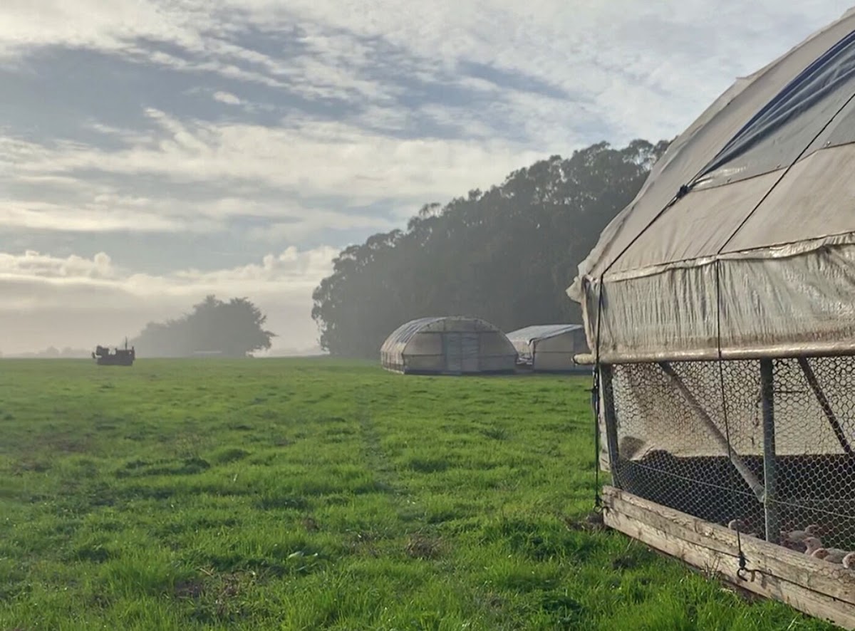 Fogline Farm apple orchard in Soquel, California