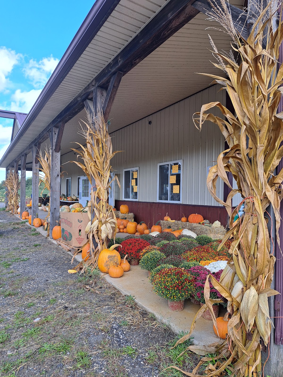 Krowicki's Farm Market apple orchard in New Egypt, New Jersey