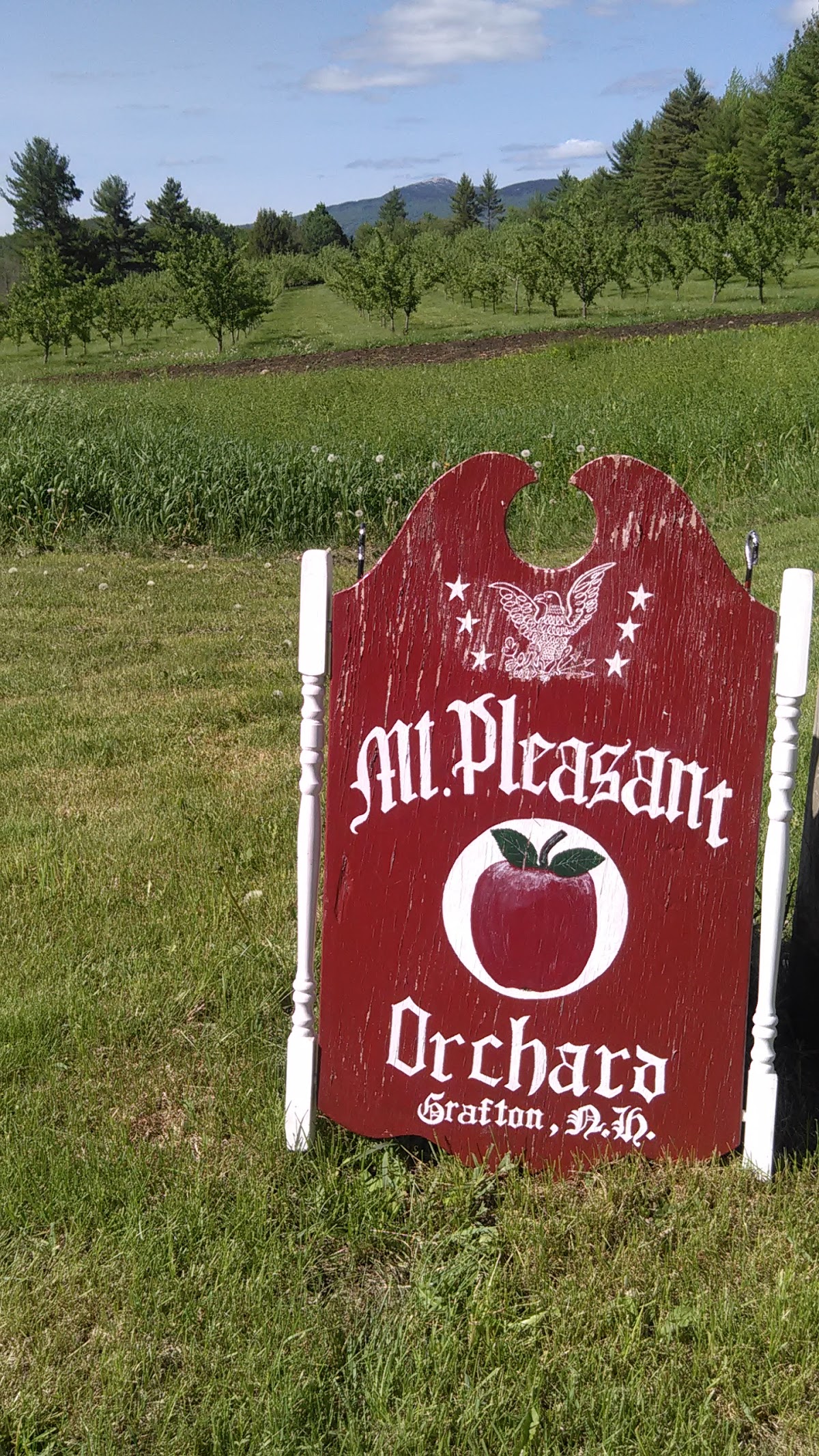 Mount Pleasant Orchard apple orchard in Grafton, New Hampshire