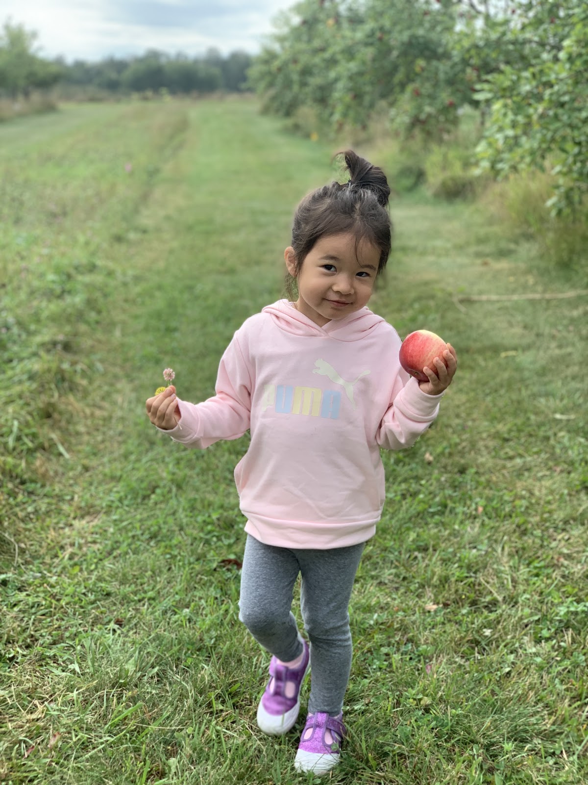 Red Barn Orchard apple orchard in Pine River, Minnesota