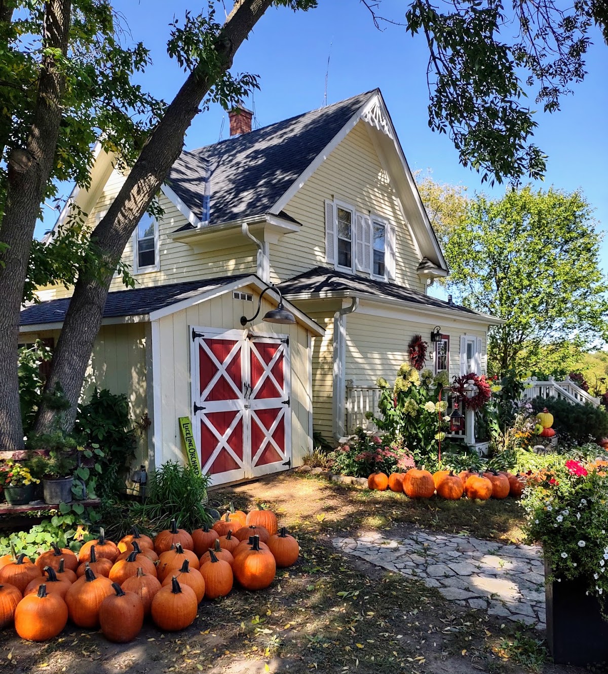 LuceLine Orchard apple orchard in Watertown, Minnesota