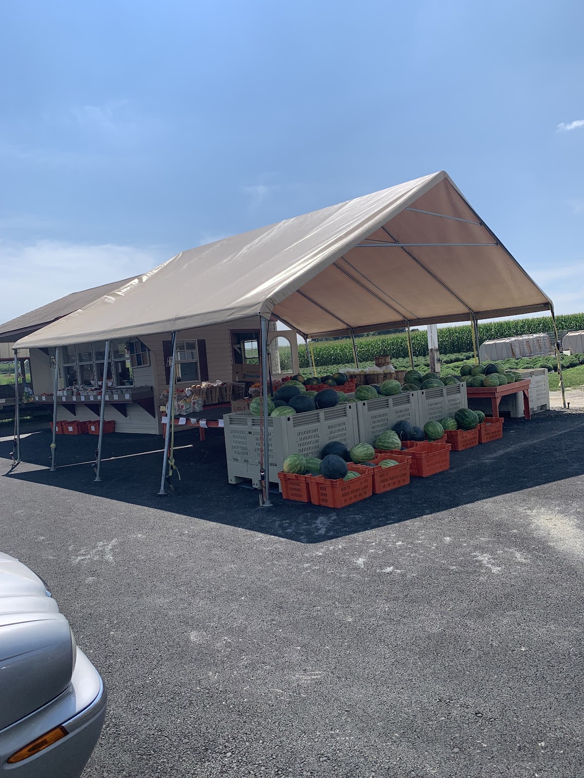 Wimer's Organics apple orchard in East Earl, Pennsylvania