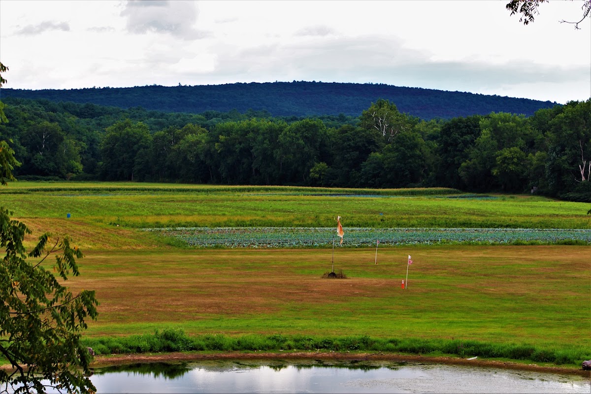 Stoneledge Farm apple orchard in South Cairo, New York