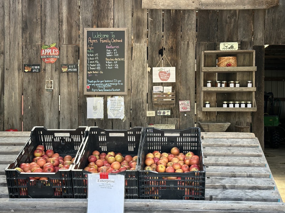 Ayres Orchard apple orchard in Owenton, Kentucky