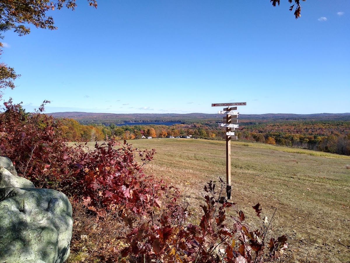 Romac Orchard - apple orchard in Sanford, Florida