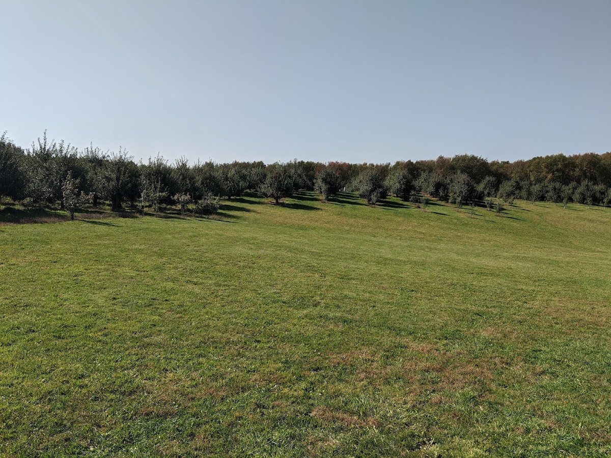 Beckwith Orchard apple orchard in Kent, Ohio