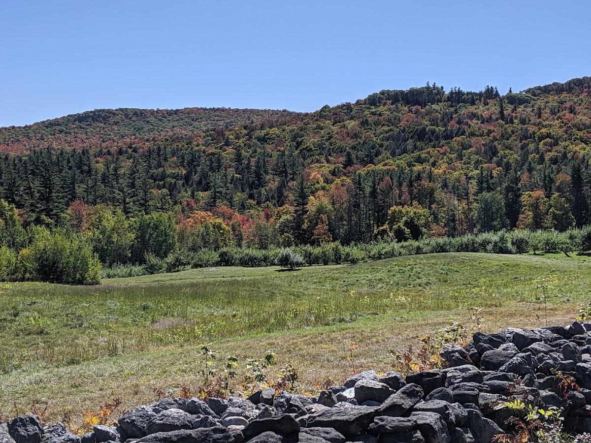 Cardigan Mountain Orchard apple orchard in Alexandria, New Hampshire