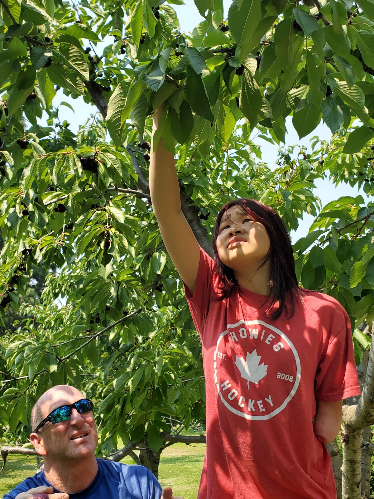Pine Glen Cherry Orchard apple orchard in Polson, Montana