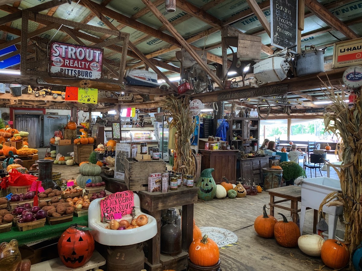 Efurd Orchards apple orchard in Pittsburg, Texas