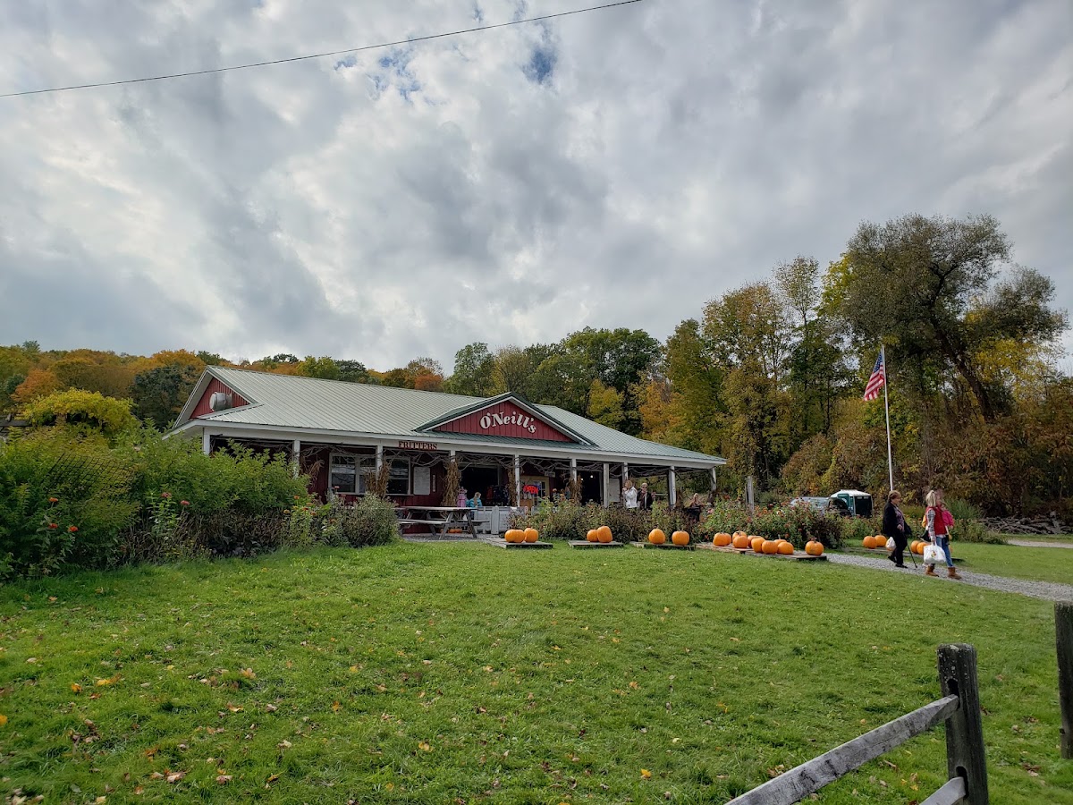 O'Neill's Orchard apple orchard in Town of LaFayette, New York