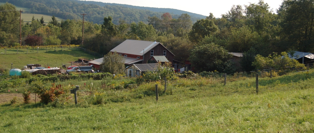 Frosty Morning Farm apple orchard in Truxton, New York