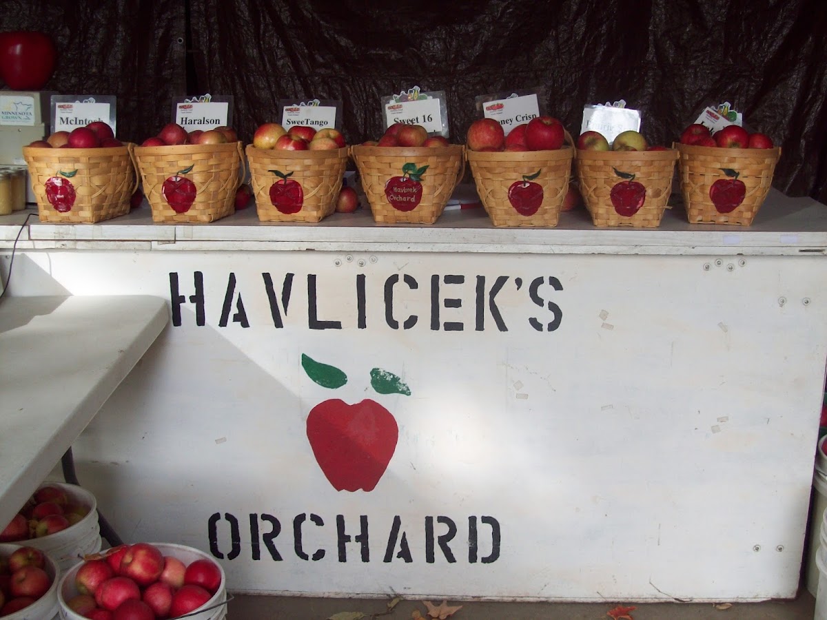 Havlicek's Veseli Vrsek Happy Hill Orchard apple orchard in Veseli, Minnesota