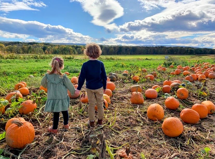 Kelder’s Farm apple orchard in Kerhonkson, New York