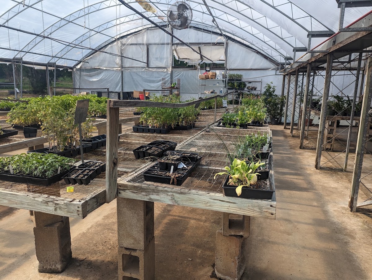 Cox Berry Farm and Nursery apple orchard in Clarksville, Arkansas