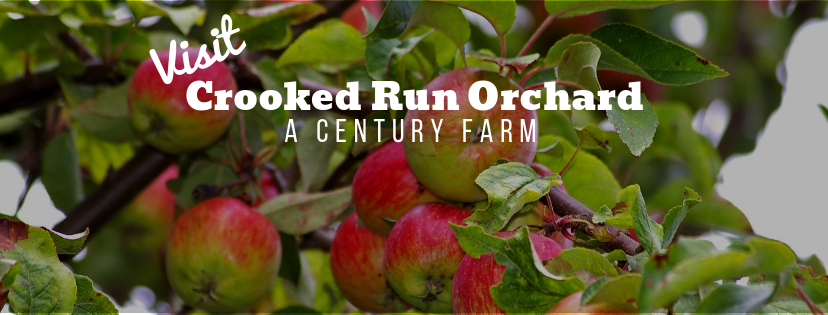 Crooked Run Orchard apple orchard in Purcellville, Virginia