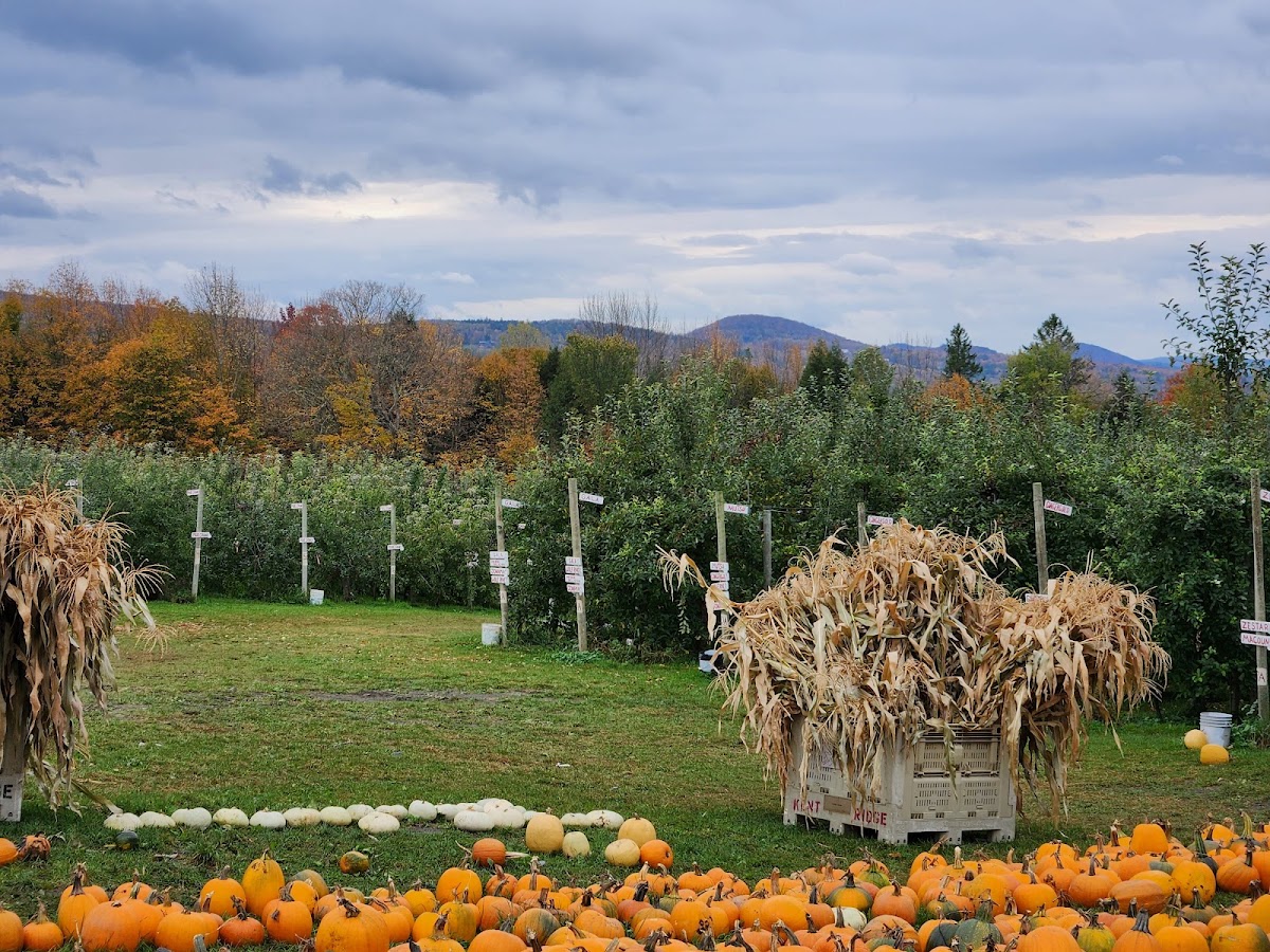 Harper Valley Orchard apple orchard in Westford, Vermont