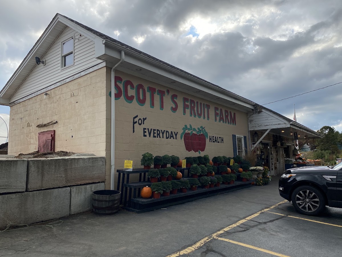 Scott's Orchard and Nursery apple orchard in Glastonbury, Connecticut