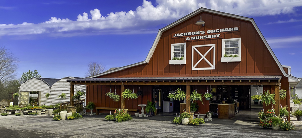 Jackson's Orchard and Nursery, Inc. apple orchard in Bowling Green, Kentucky
