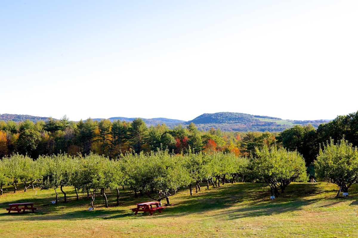 Apple Acres Farm apple orchard in South Hiram, Maine