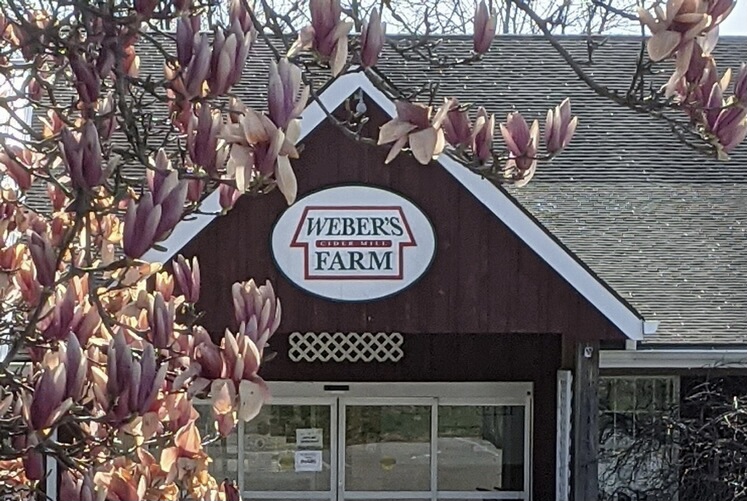 Weber's Cider Mill Farm apple orchard in Parkville, Maryland