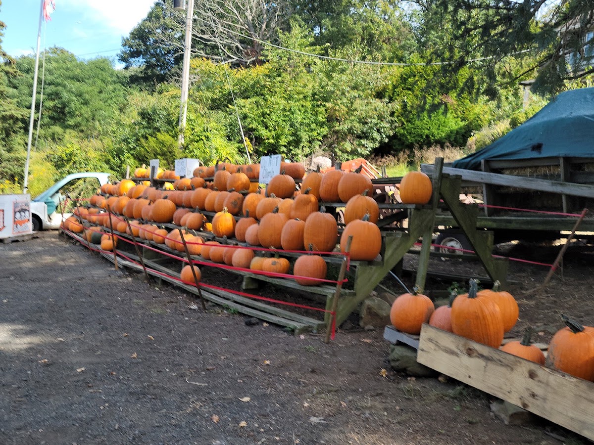 Hillview Farms apple orchard in Gillette, New Jersey