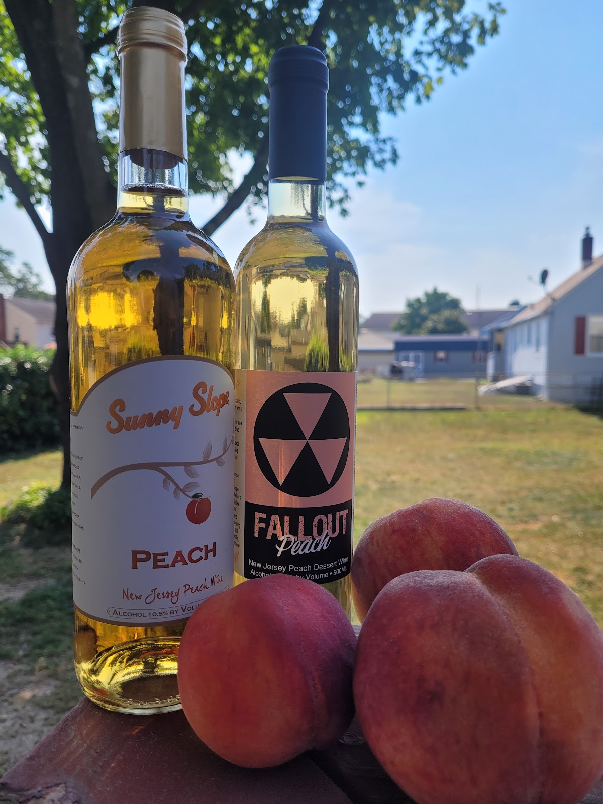 Sunny Slope Farms apple orchard in Bridgeton, New Jersey