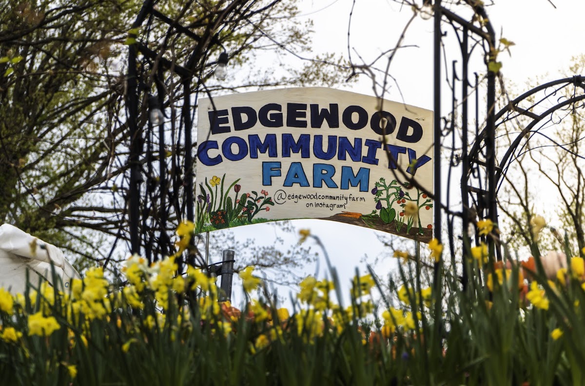 Edgewood Community Farm apple orchard in Washington, District of Columbia