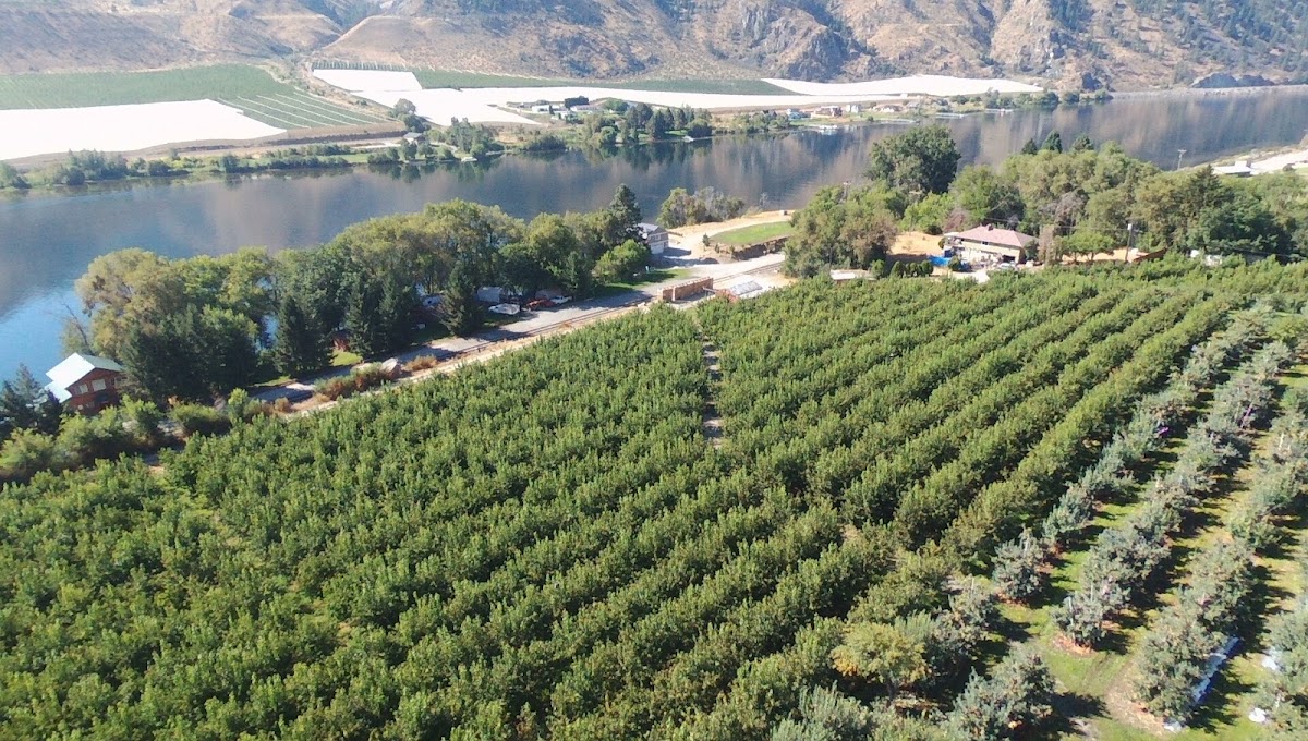 Lake Chelan Orchards apple orchard in Chelan, Washington