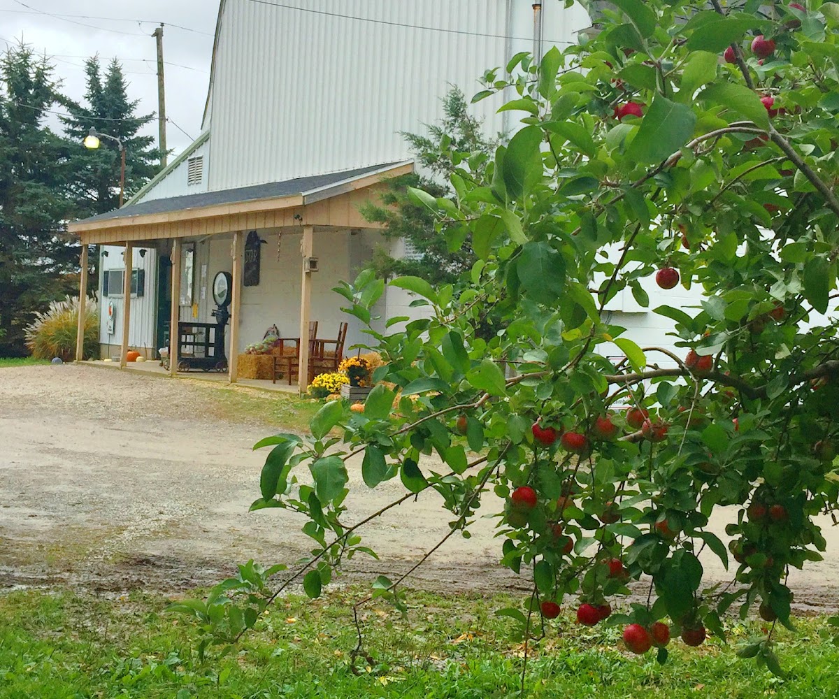 Star Orchard, LLC apple orchard in Kaukauna, Wisconsin